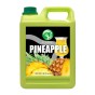 A002437 pineapple.jpg