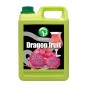 B001215 dragon friut.jpg