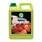 A002436 strawberry.jpg