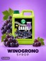 winogrono_syrop_ai_edited_1980x2637.jpg