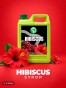 hibiskus_syrop_ai_edited_1980x2637.jpg